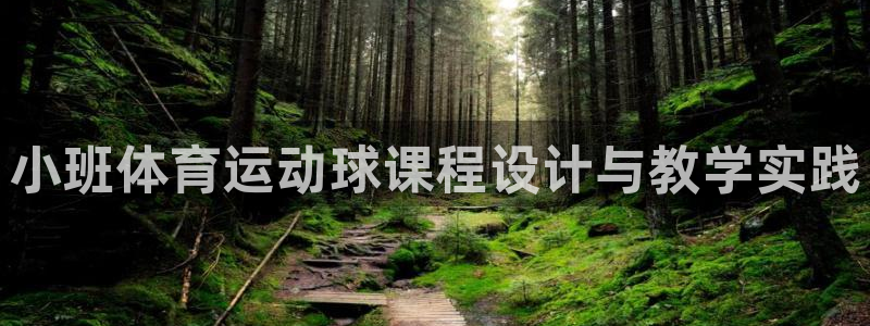 betway西汉姆：小班体育运动球课程设计与教学实践