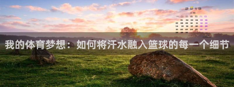 betway西汉姆官网：我的体育梦想：如何将汗水融入篮球的每一个细节